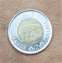 سکه