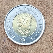 سکه