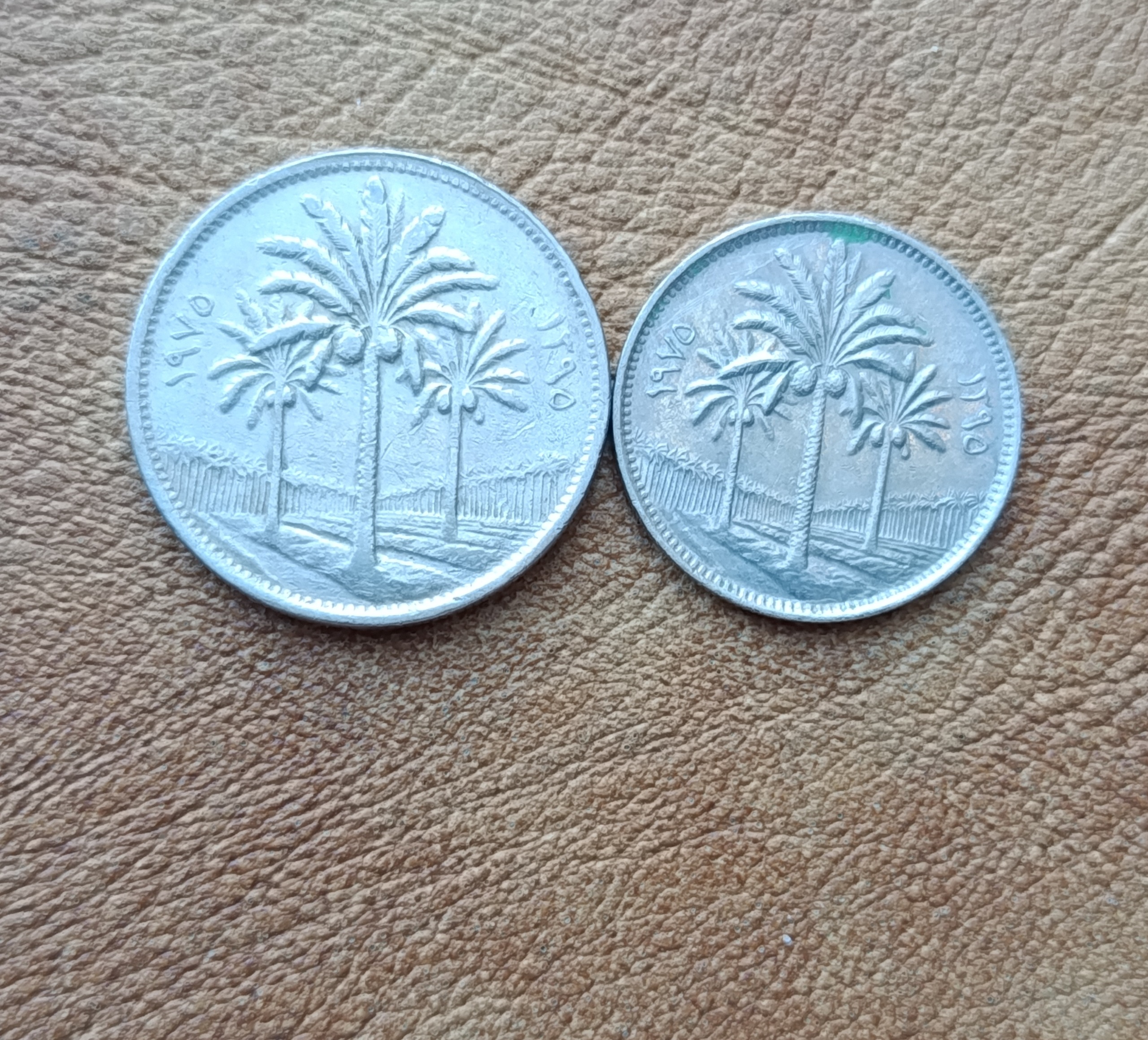 سکه50.25فلس عراق 1975 (کد3505)
