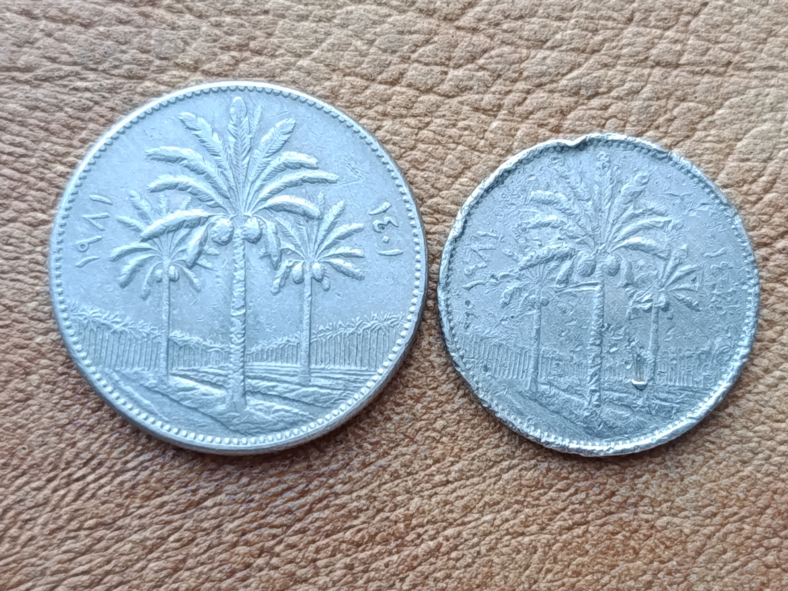 سکه50.25فلس عراق 1981 (کد3505)