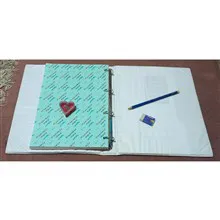 کلاسور