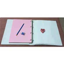 کلاسور