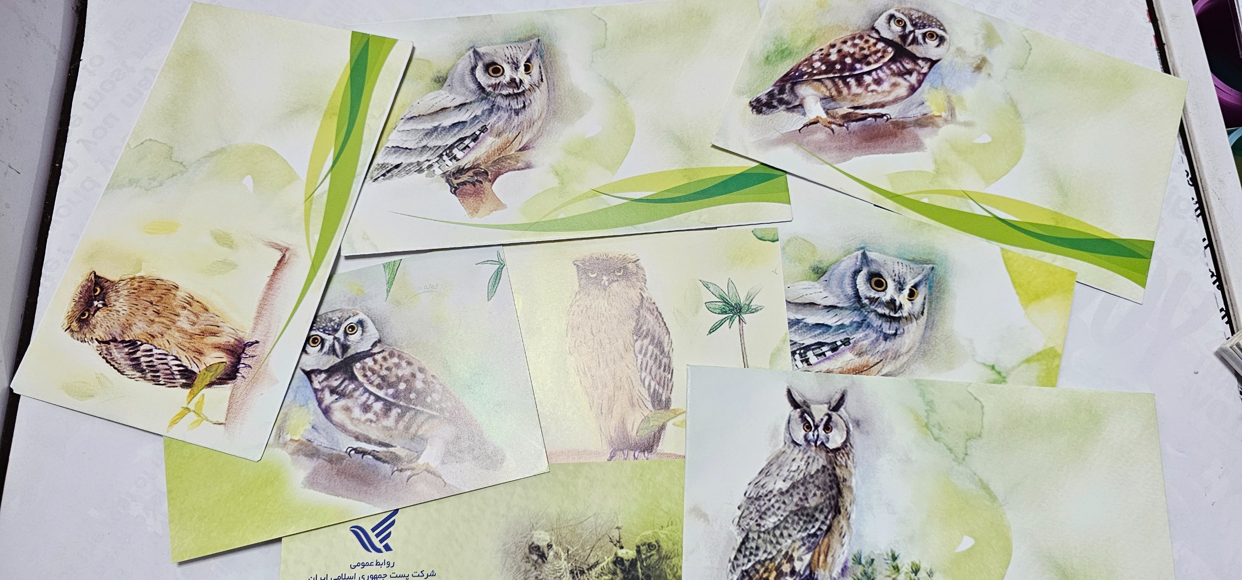 سری کارت پستال جغد