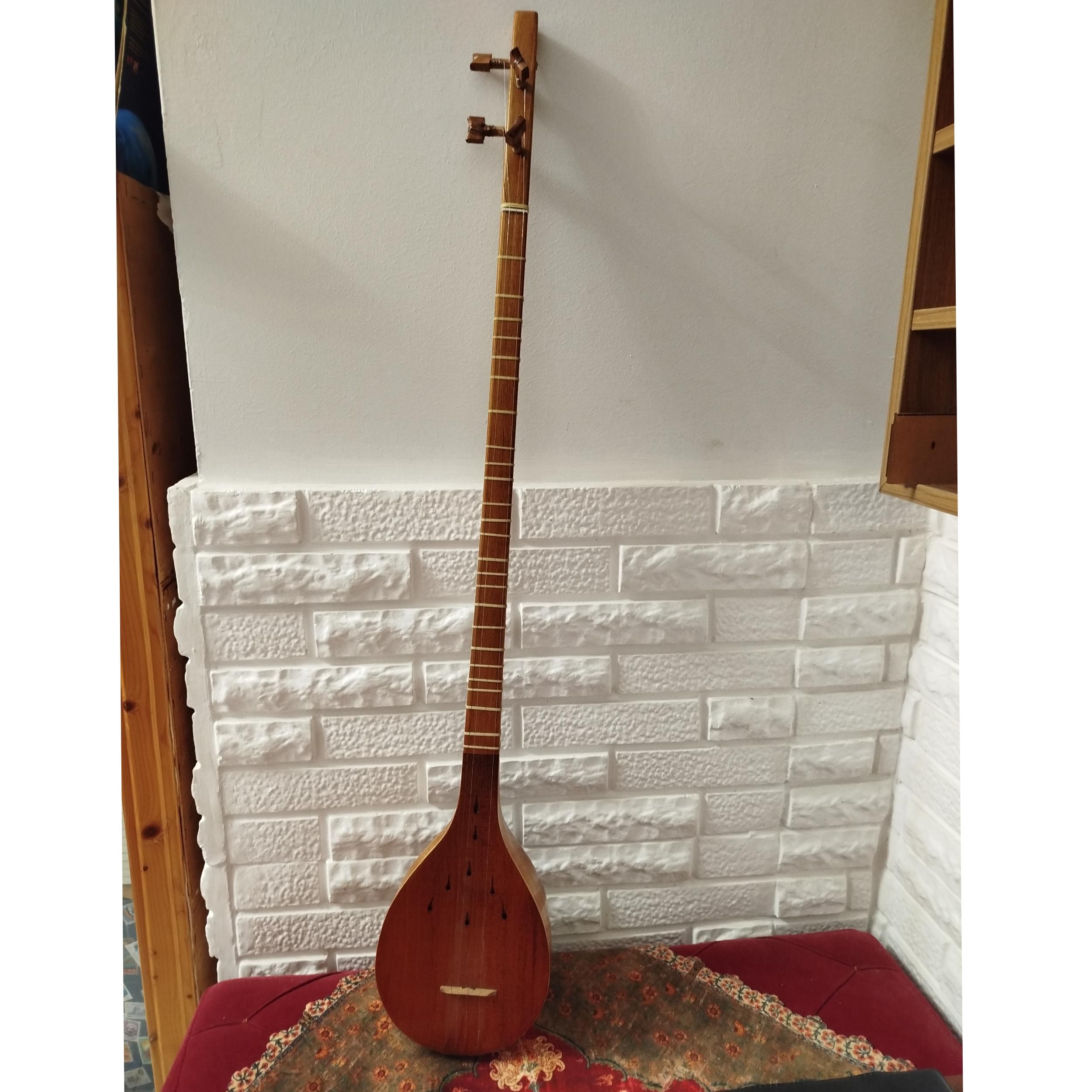 سه تار و کیس محافظ