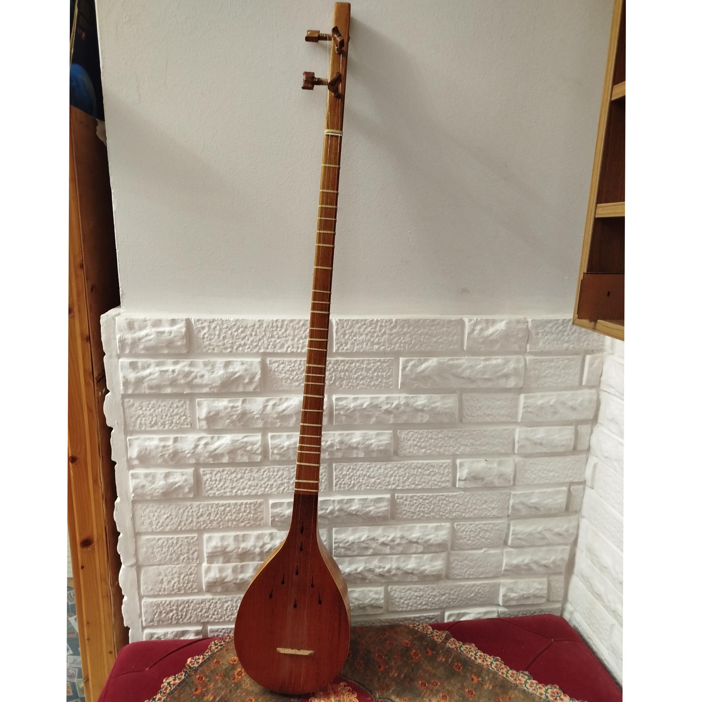 سه تار و کیف محافظ