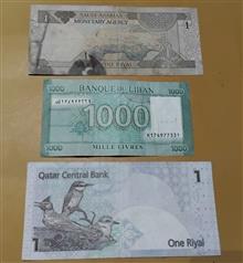 اسکناس