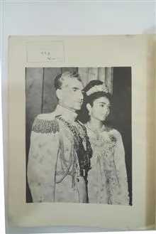 نشریه