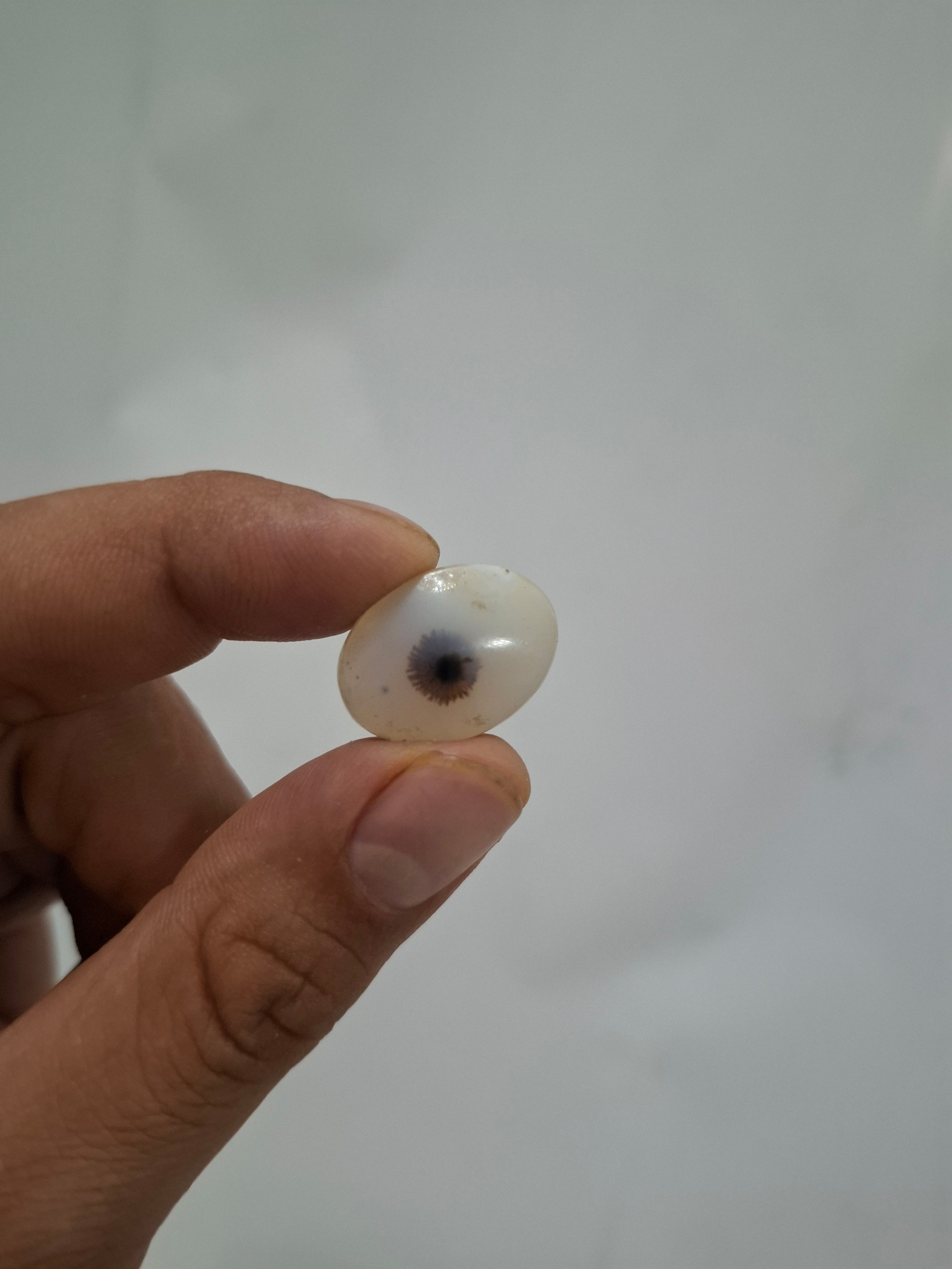 نگین شجر قائنات