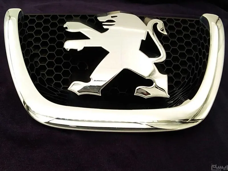 ارم جلو پنجره 207