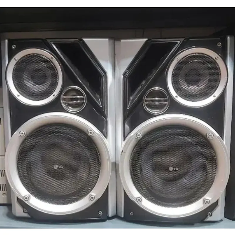 2 تا باند ( بلندگو ) 8 اینچی 11000 وات LG