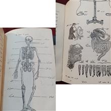 مقدمات