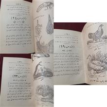 مقدمات