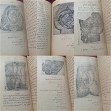 مصاحبات