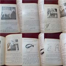 کچی