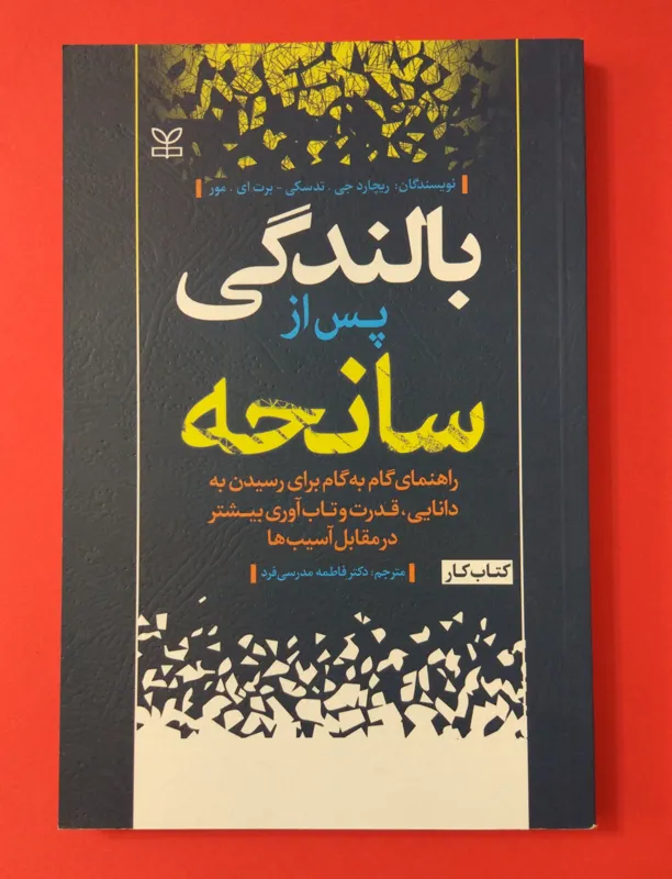 بالندگی پس از سانحه، تاب آوری وآسیبها، کتاب کار