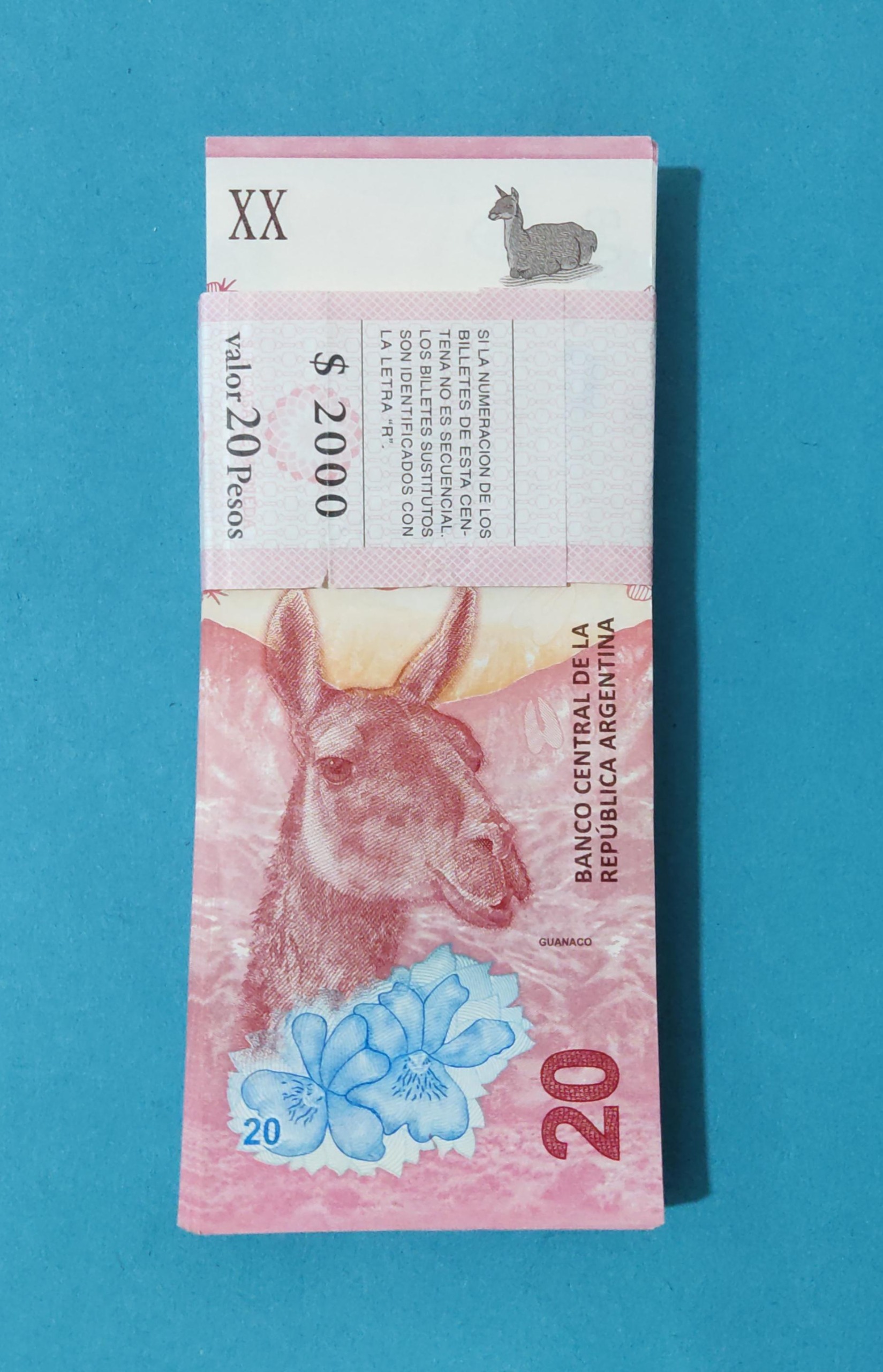 بسته کامل 20 پزو آرژانتین