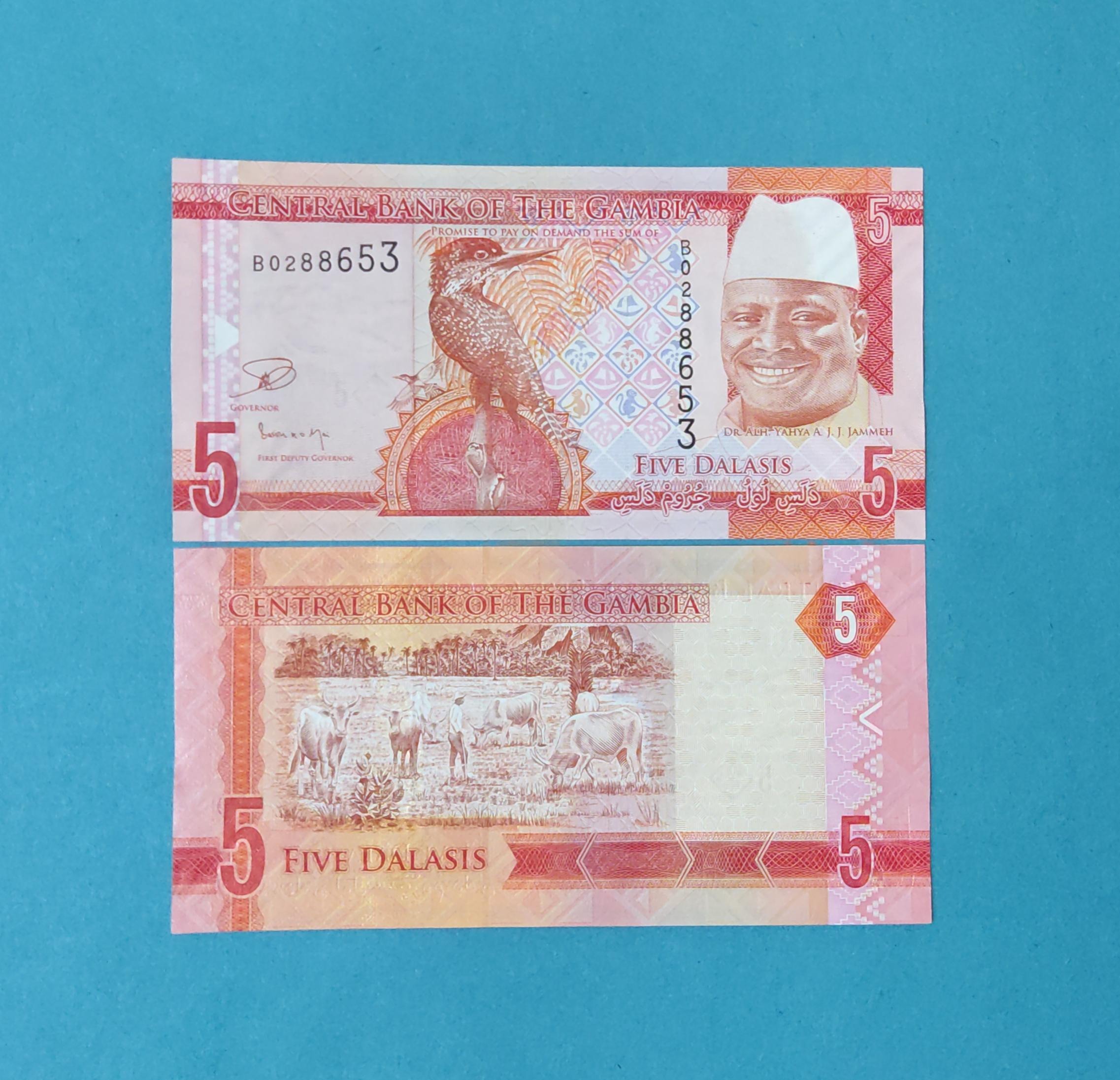 تک بانکی 5 دالاس گامبیا