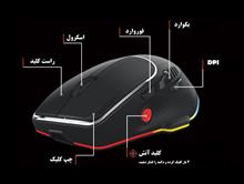 ماوس