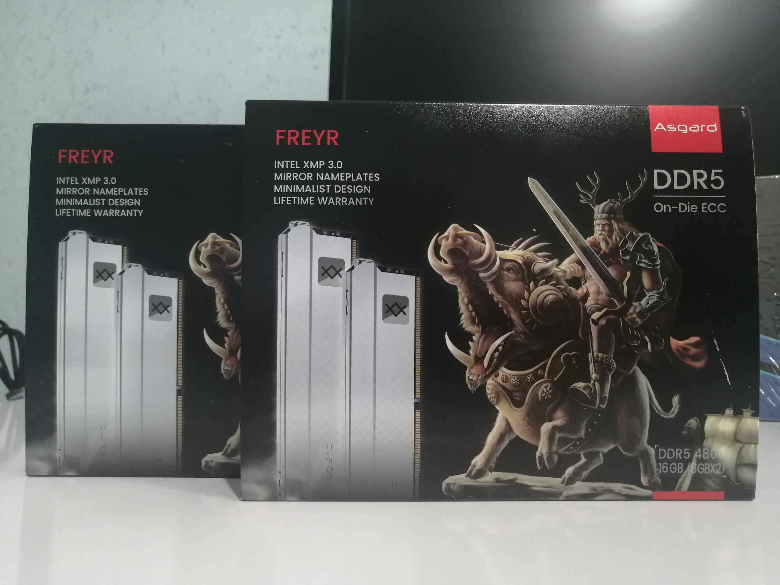 رم ASGARD FREYR 16G DDR5 4800MHz