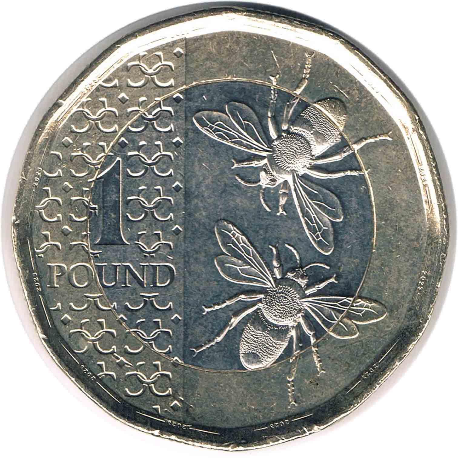 سکه یادبودی 1 پوند بریتانیا 2023 (نایاب) چارلز سوم