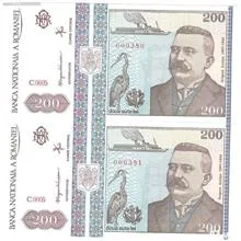 جفت