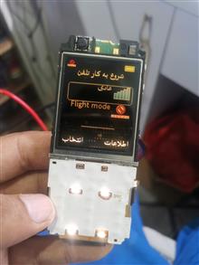 السیدی