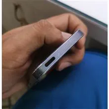 شاسی
