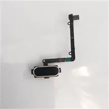 فلت