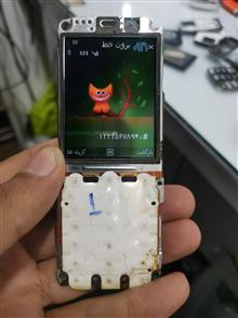 السیدی