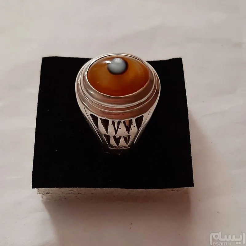 باباقوری نینی دار رکاب نوری پدرتوضیح رابخونید