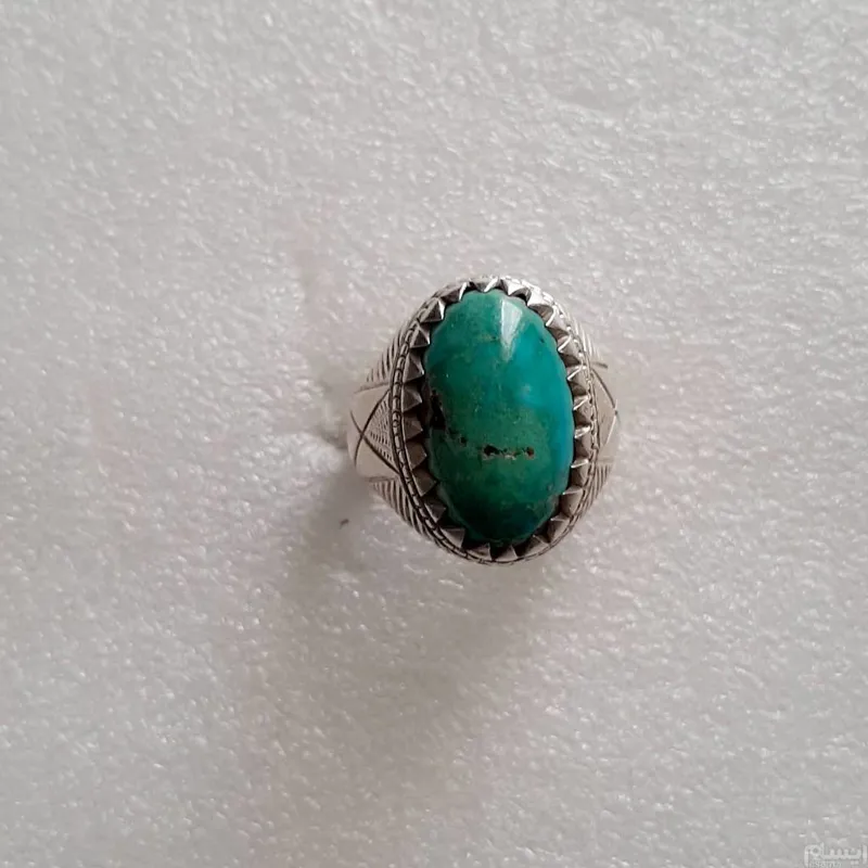 فیروزه نیاشبوررکاب ری احمد (پدر)توضیح رابخونید