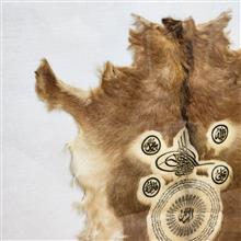 پوست
