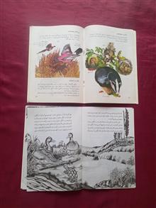 سرگذشت