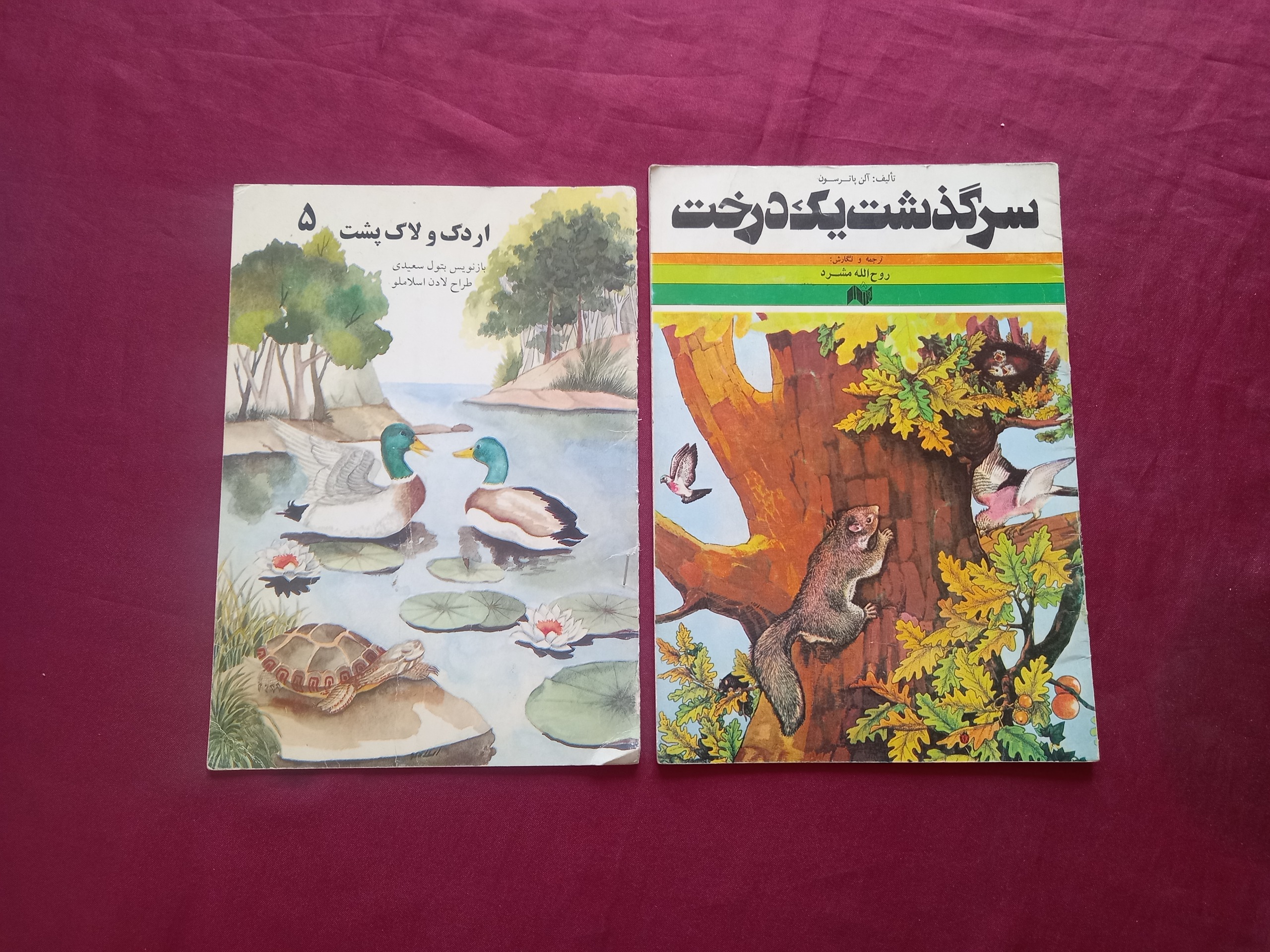 سرگذشت یک درخت اردک و لاک پشت کتاب کودک