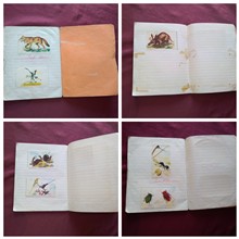 دفتر