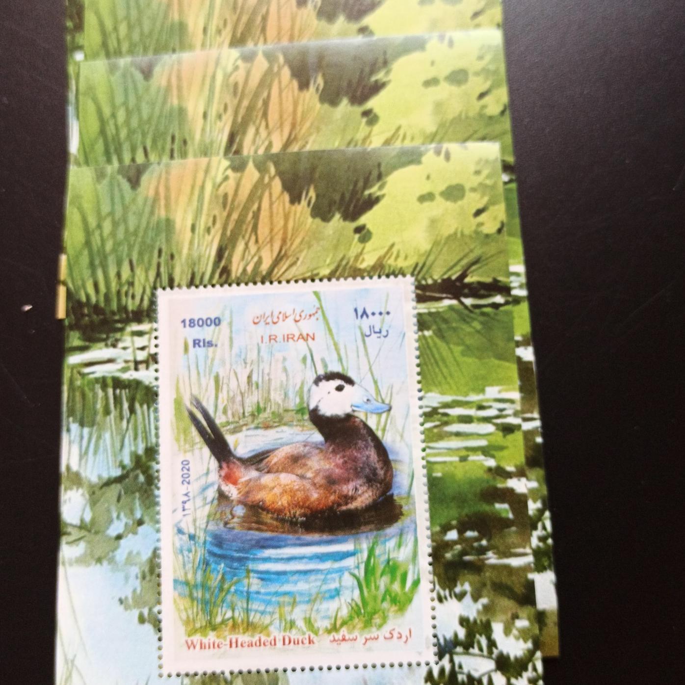 تمبر اردک سر سفید 1398 (10 شیت )