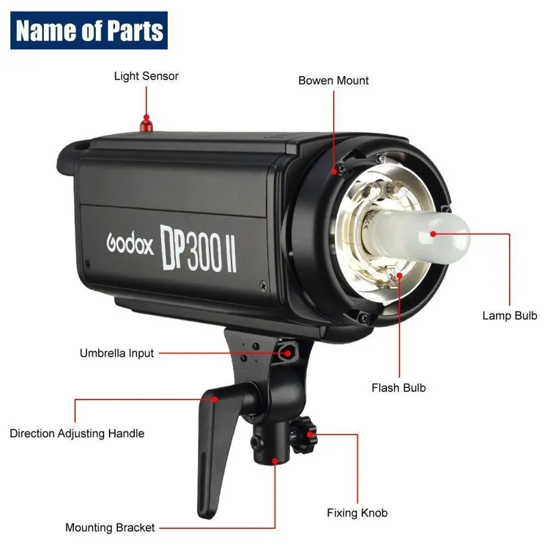 فلاش  Godox DP 300