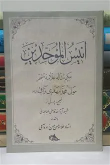 انیس
