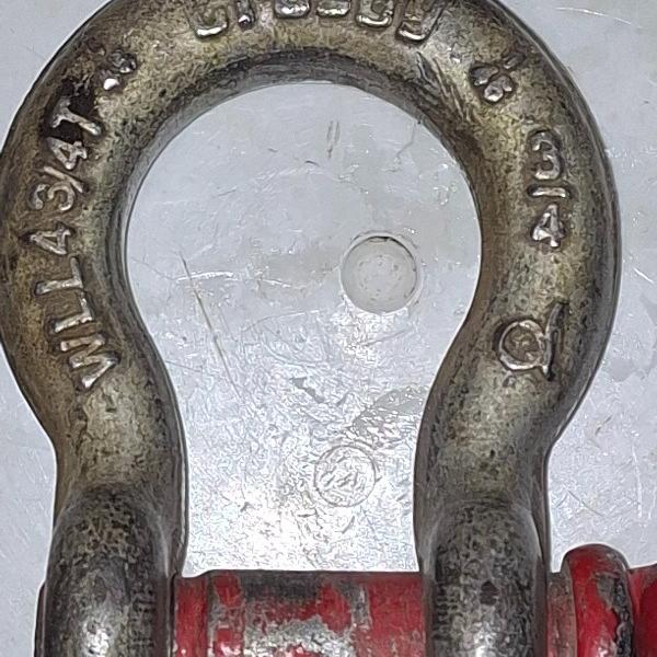 شگل کروزبی اصل