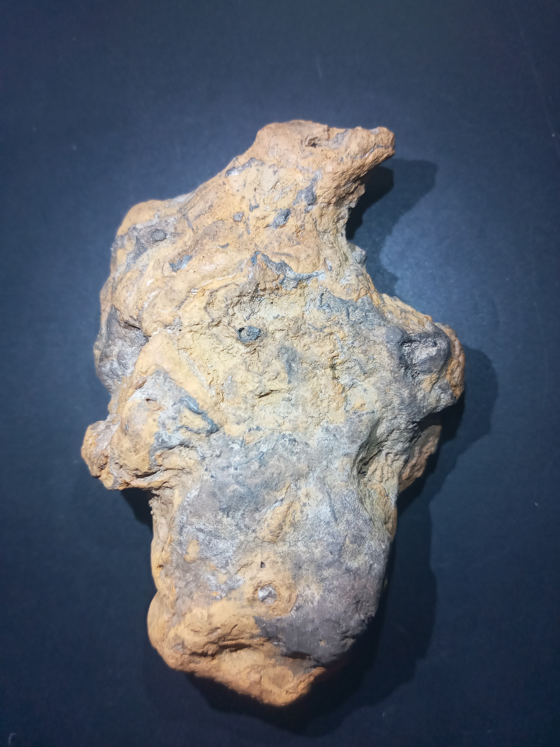 شهاب سنگ شبیه سر و بدن پرنده