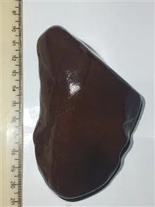 جاسپر