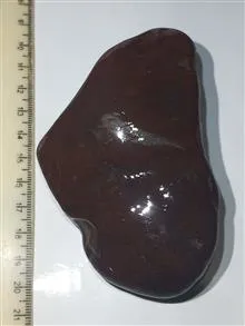 جاسپر