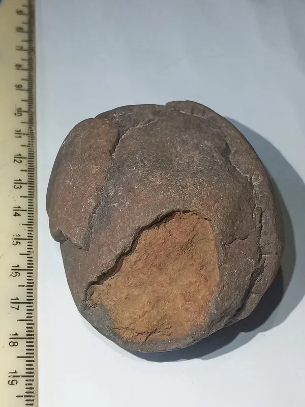 سنگ کلکسیونی، سنگ تخم مرغی، سنگ دکوری، سنگ فسیل