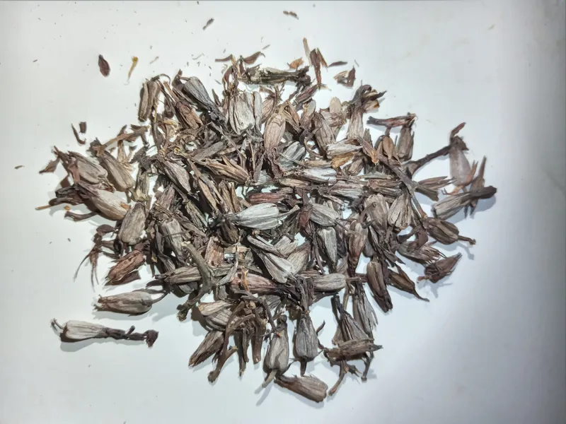 بذر گل قاشقی = 80 گرم