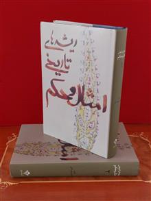 ریشه