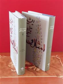 ریشه