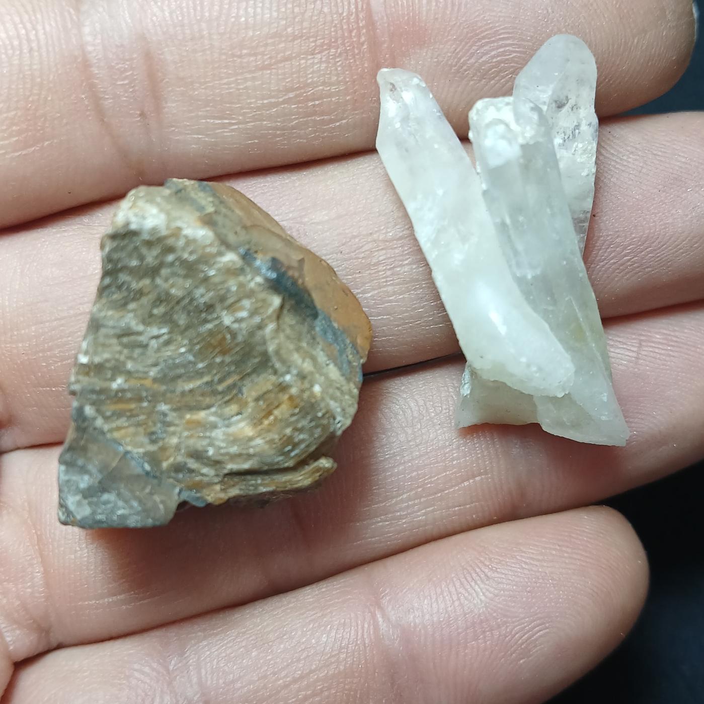 چشم ببر وکوارتز کد20 _ابعادمطابق تصور