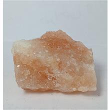 هالیت