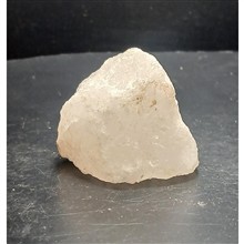 هالیت