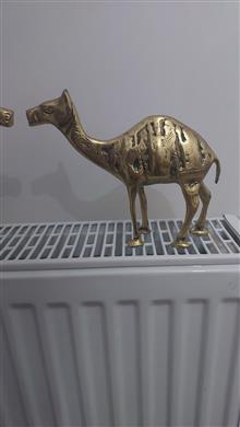 یک